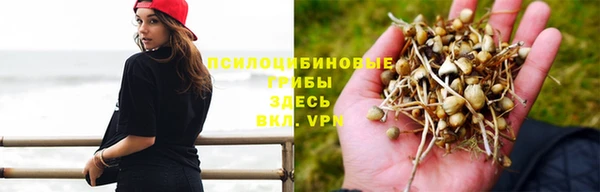 ALPHA-PVP Володарск