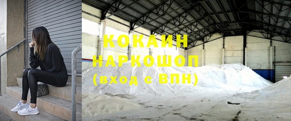 дживик Горняк