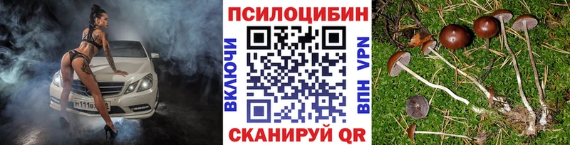 Псилоцибиновые грибы GOLDEN TEACHER  Ермолино 